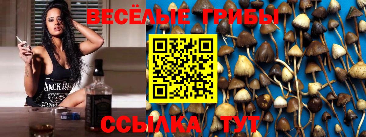 Псилоцибиновые грибы мицелий  Псилоцибиновые грибы GOLDEN TEACHER  Грозный  Вход с VPN 